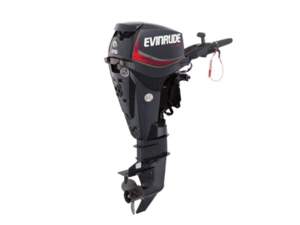 Evinrude-E25DRS.jpg