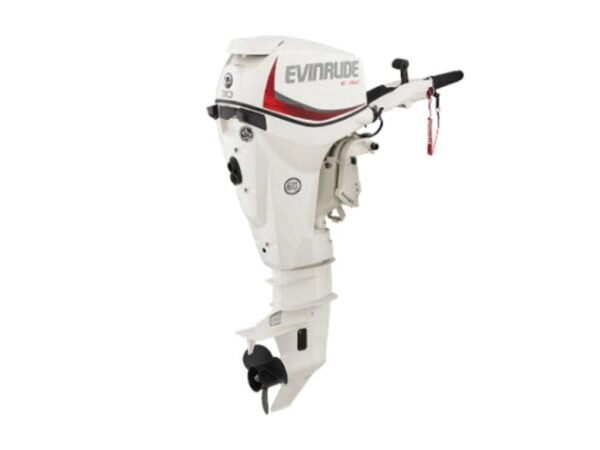 Evinrude-E30GTEL-1.jpg