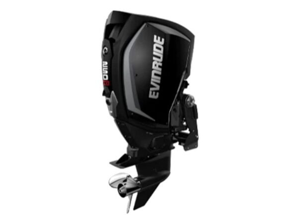 Evinrude-H250HGXA-250HO-Outboard-Motor-1.jpg